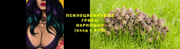 СК Алексин
