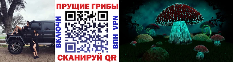 Галлюциногенные грибы GOLDEN TEACHER Чехов